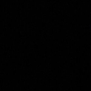 Meet your Posher, Chandler